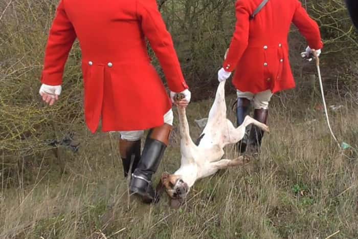 In the coming year, we have big plans! We're campaigning to end hunting and shooting in the UK and to take a stand for all the animals that suffer at the hands of these industries, but we can't do it without your help!

Make a contribution to here⬇️

protectthewild.org.uk/take-action/do…