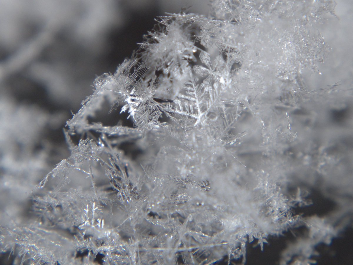 vitohvitoh's tweet photo. ふかふかの雪が降らないねぇ。
#北海道
#hokkaido
#snow
#snowflaks
#snowflak
#macro_area
#WINTER
#ice https://t.co/KliqhkMNf6