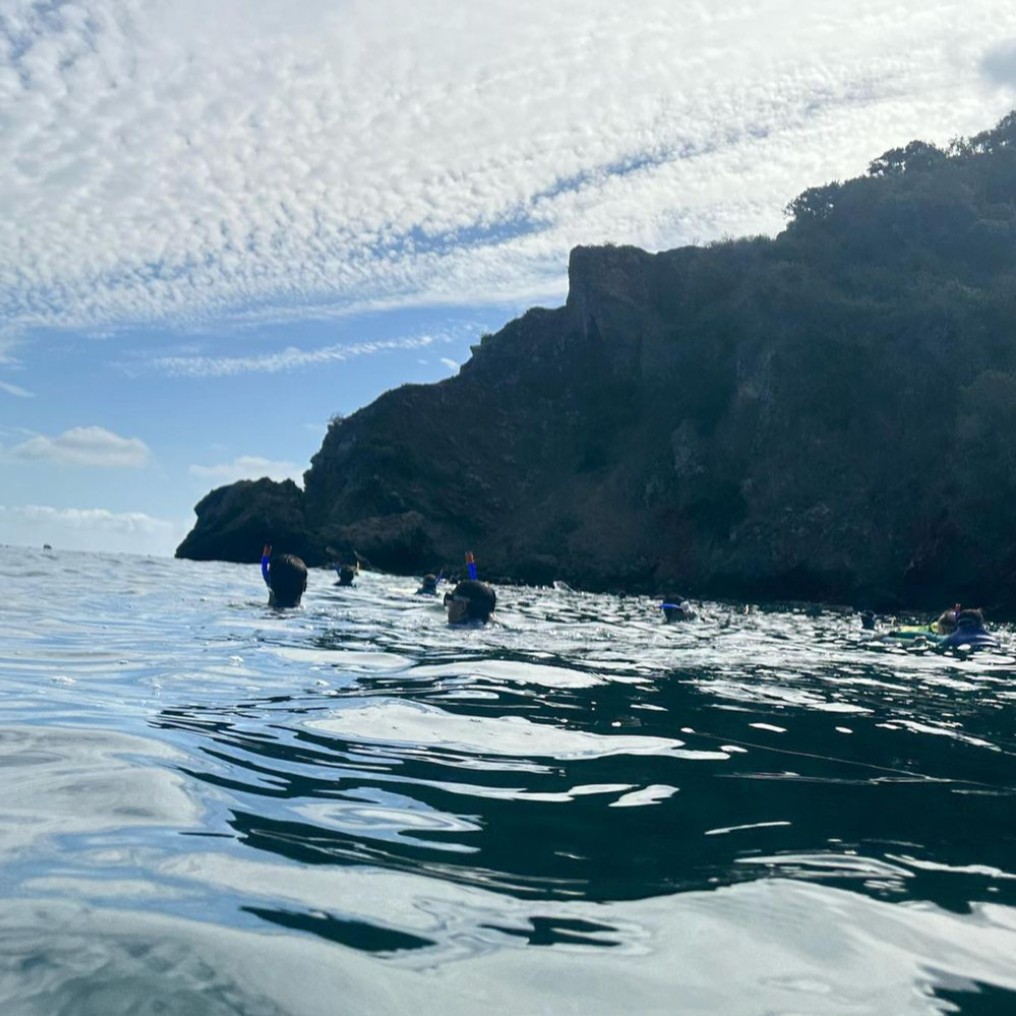 CIMI_Science's tweet photo. Happy repost Wednesday friends! A big shoutout to @clswestcovina for tagging us in a post about your school's trip to CIMI Fox Landing!! ๐ ๐ ๐ธ โ๏ธ ๐๏ธ #RepostWednesday #CIMIFoxLanding #OutdoorEducationVibes #BasicSnorkel #TeamBuildingAdventures https://t.co/3waiYVr7TC