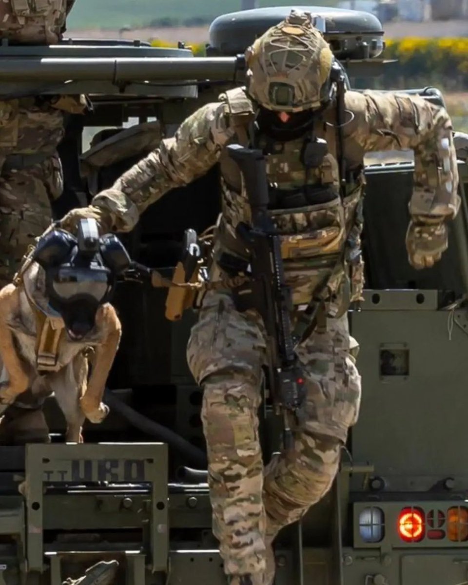 EOK9 del MOE.

#warrior #sof #mandodeoperacionesespeciales  #specialforces #g36 #hecklerandkoch #multicam #frogpro #antiterrorist #warriorassaultsystems
#peltor #vortex #ufpro #multicam #k9 #malinois 
#maligator #spain #EOK9
