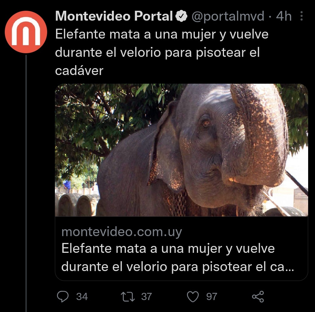 rodrimisa's tweet photo. Como @BombitaDarin en "Un cuento chino", me tomé el trabajo de recopilar las noticias más bizarras del 2022. 
Seguramente se me pasaron varias, algunas que son inchequeables, pero acá hay algo de lo más desopilante del año.

Va hilo 🧵 (1/28) https://t.co/XWOwjDILDn