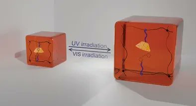 Read now in #Macromolecular #Chemistry &amp; #Physics: Photoresponsive Double Cross-Linked Supramolecular Hydrogels Based on Α-cyclodextrin/Azobenzene Host–Guest Complex by <a href="/jgaitzsch/">Jens Gaitzsch</a> Brigitte Voit &amp; team ( <a href="/IPFDD/">IPFDD</a>)

buff.ly/3WwxM0w

#polymers #OpenAccess