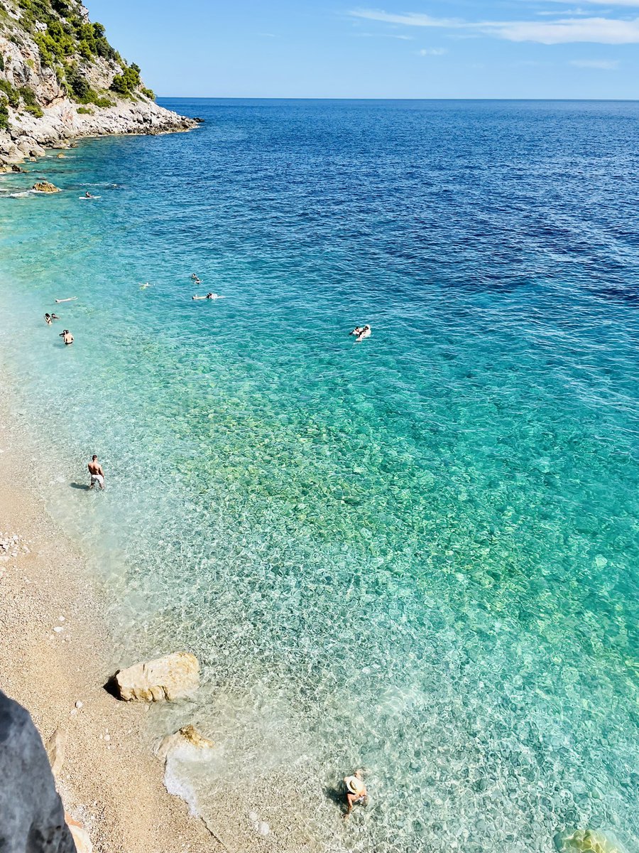 Bullish on summer vibes 🏝