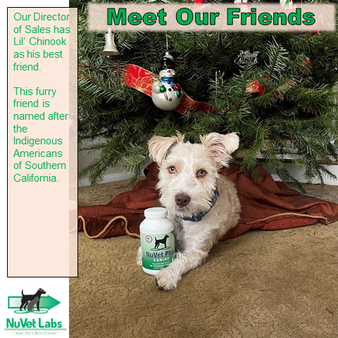 Meet Our Friends! If you want your pup or kitty featured on our page, comment below with a pic and some fun facts!