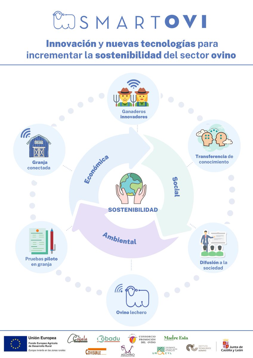 ITACYL's tweet photo. #ITACYL, @urcacyl y las cooperativas Cogala, Covisurle, Vega-Esla, @lechedeoveja, @cobadu_coop y Asovino impulsan la innovación en #ovino gracias al proyecto #SmartOvi #FEADER, para mejorar el sector mediante la digitalización y las nuevas tecnologías
🔗 https://t.co/QkO4H1k3aq https://t.co/YPvUkE5fcp