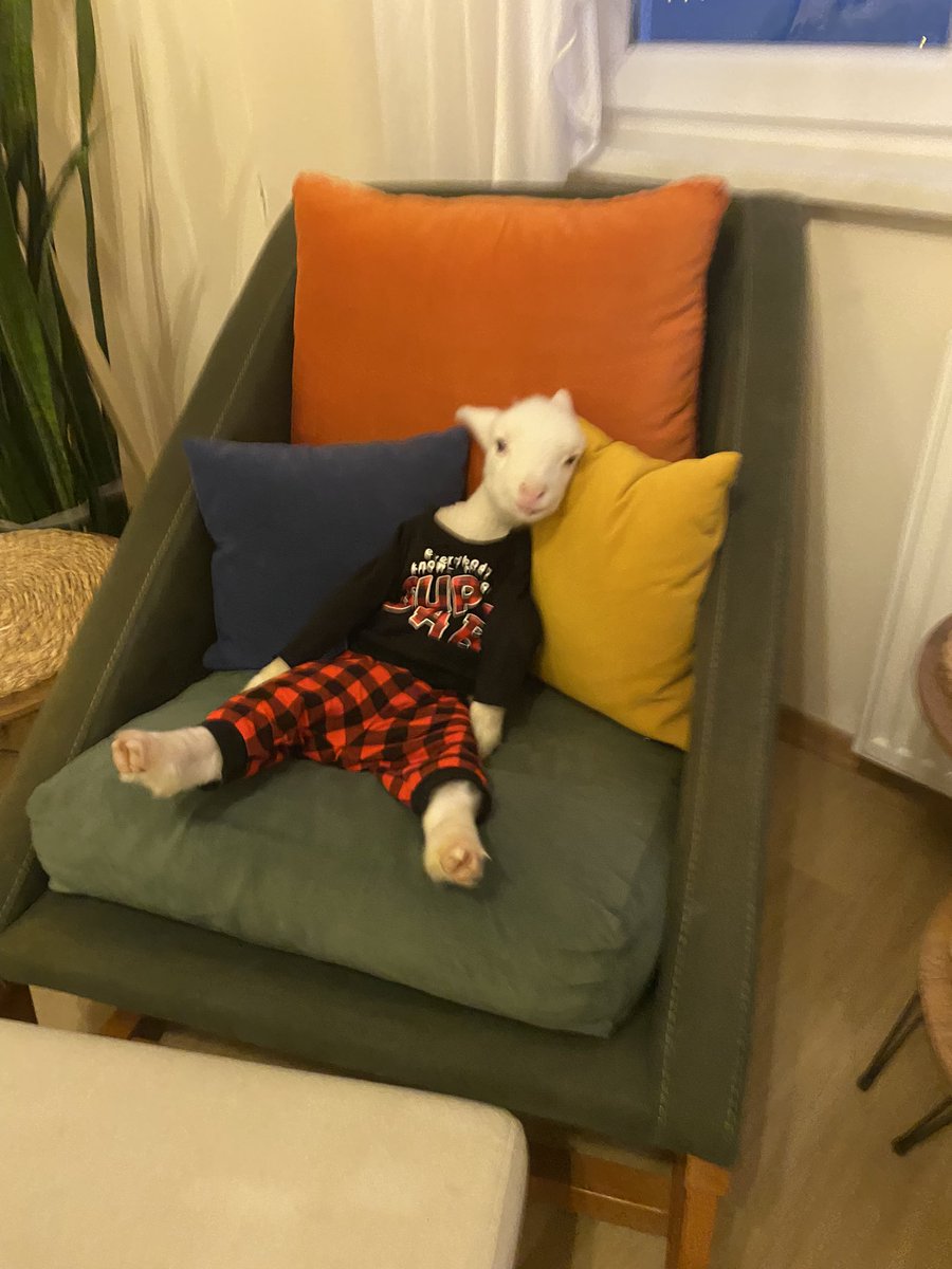 Kuzuda olsan eve gelince şöyle bi ayaklarını uzatmak istiyorsun :))