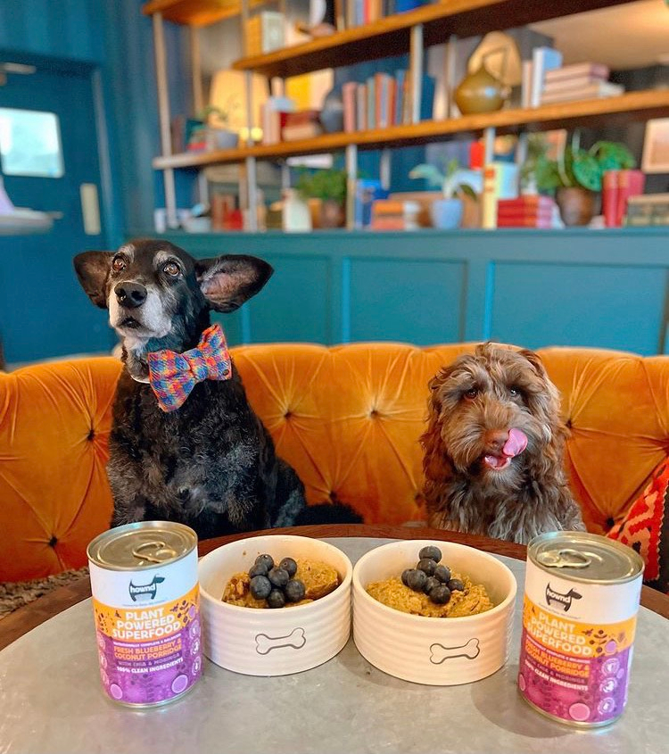 DogsLoveHownd's tweet photo. All dressed up and ready to eat. These dogs ready to eat some delicious blueberries, coconut, and superfoods chia and moringa! @thedogvine
•
•
#unleashyourhownd #vegandog #vegandogfood #veganpetfood #veganpets #plantbasedpets #plantpower #crueltyfree #HOWND #meatlessmonday #H https://t.co/x5SmUKLmO4