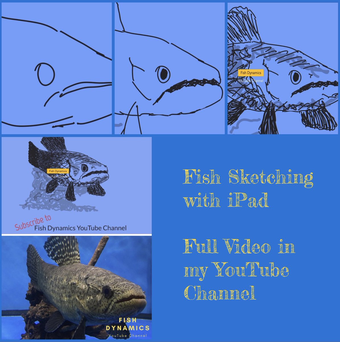 Fish_Dynamics's tweet image. Drawing Black Wolf Fish with iPad. Full Video in my YouTube Channel.