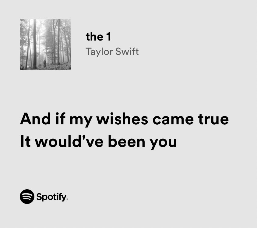 taylor swift once said