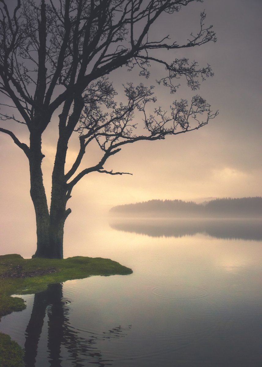 DamianShields1's tweet photo. Loch Ard #Kinlochard #Trossachs #Scotland https://t.co/ERVTYHnQjn https://t.co/ZpsD0D5Xf2
