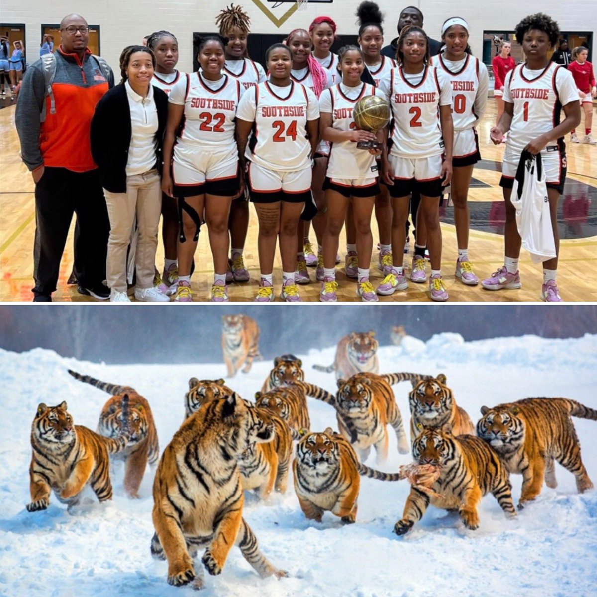 Excited to take the court today in the <a href="/BATBTourney16/">Battle at the Border</a> tournament at 11:30am at Landrum High!!!
#feartheambush
<a href="/Coach_MLParks/">@Coach_MLParks</a> <a href="/SHS_Athletics_/">Southside High School Athletics</a>
