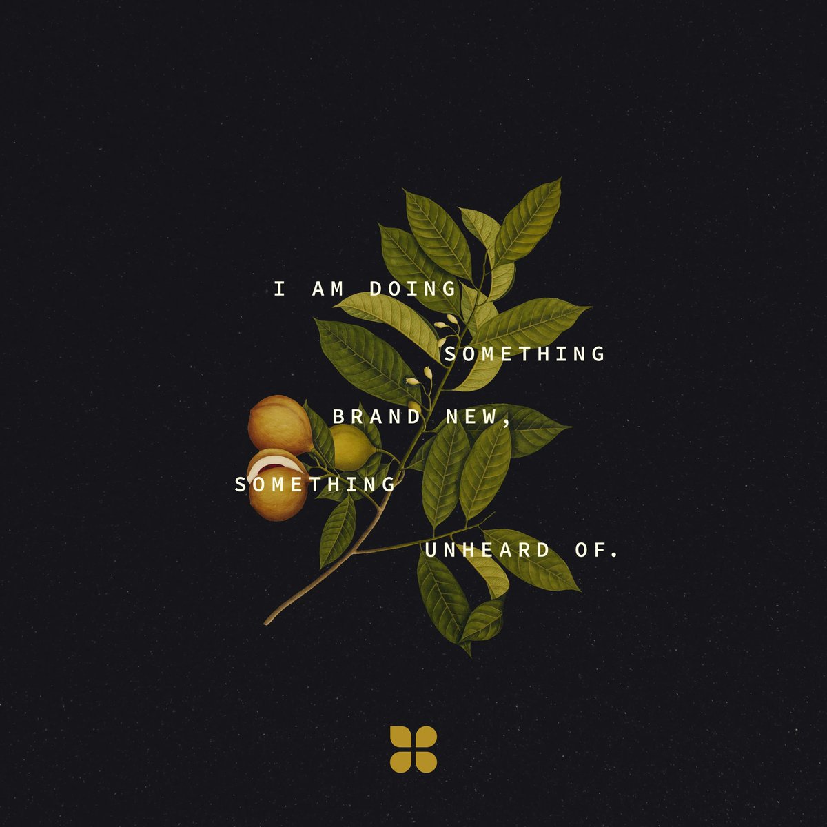 As the new year approaches, we are all expectant of what God will do in our lives and through our actions. At Concord, we are excited to see how God will use us to further His kingdom. 

As you pray for the new year and all that will come with it, be bold. God can do anything!