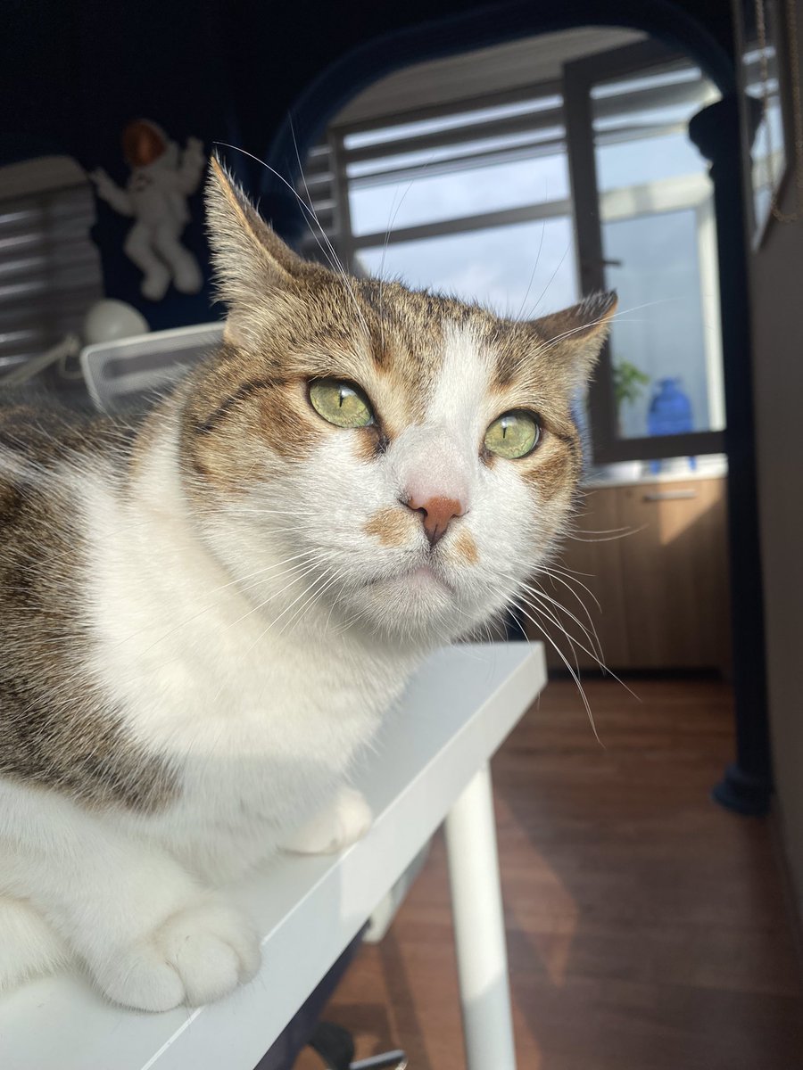 The3’nin küçük patronu, oyuncularımızı karşılamak için bekliyor🤭