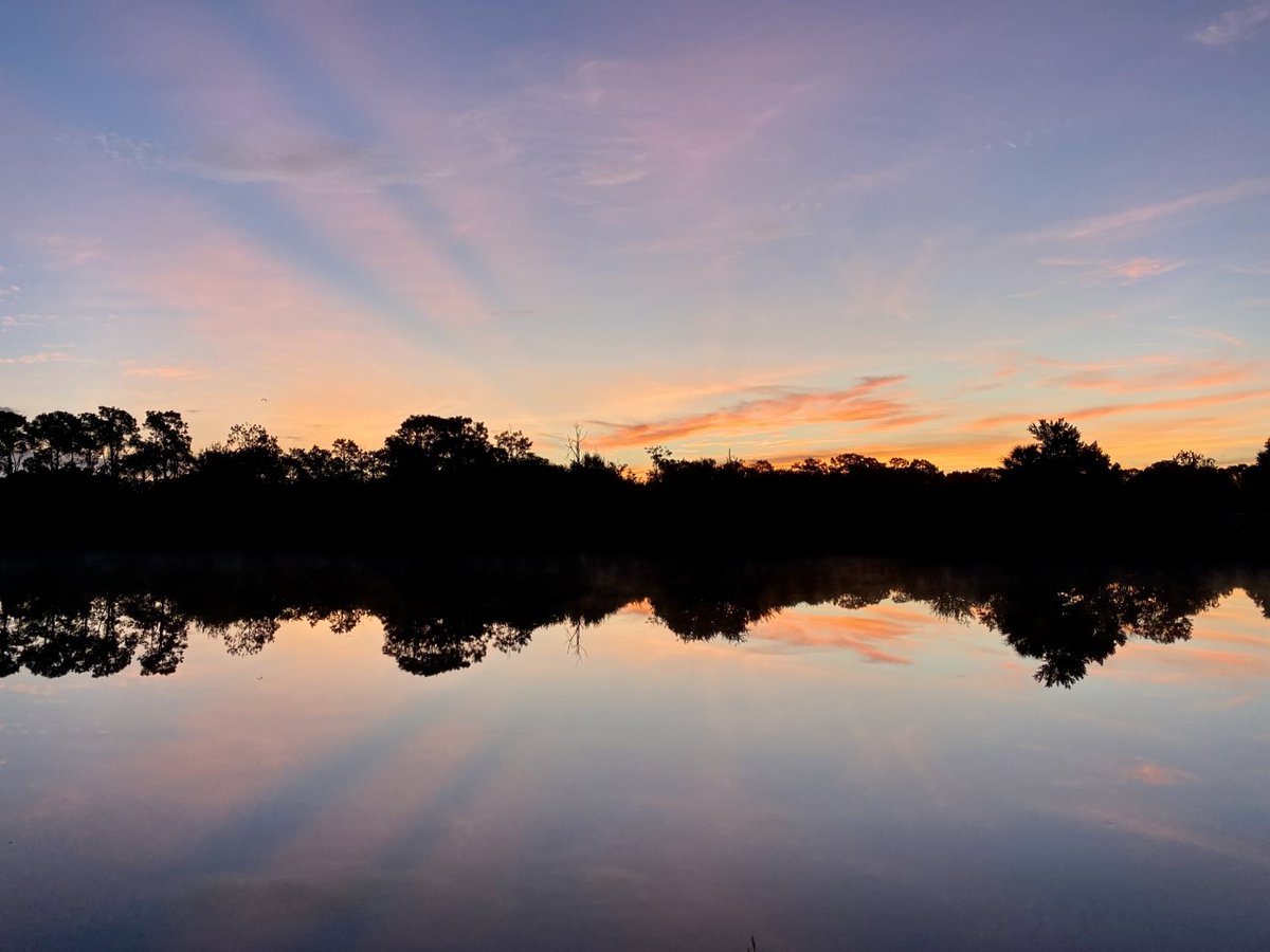 HighCoSheriff's tweet photo. Good Morning, Highlands County!
“Either write something worth reading or do something worth writing.” – Benjamin Franklin
Photo submitted anonymously
#GoodMorningHighlandsCounty #highlandscountyfl #whywelivehere https://t.co/Tjk6KAGOe5