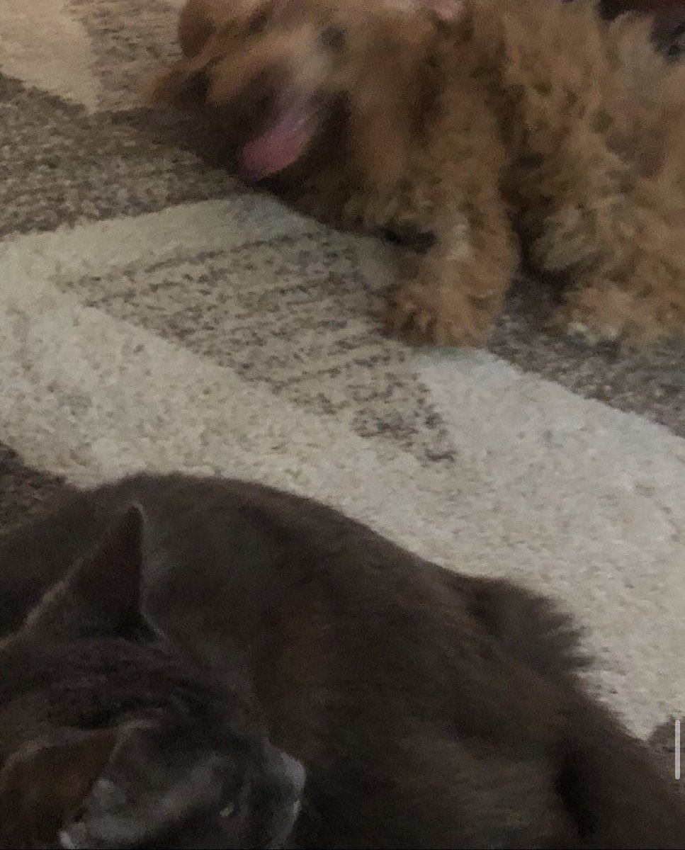 unbothered king 🫶