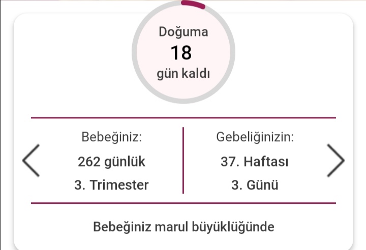 Yeni yılın en güzel beklentisiiii.. 💙