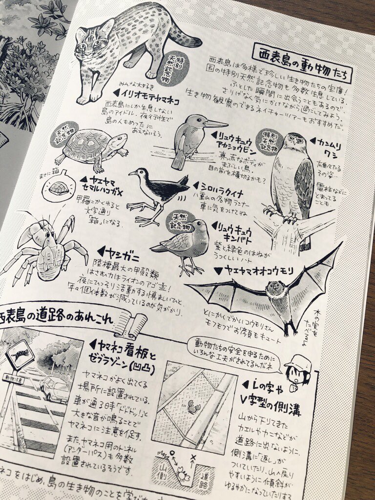 この秋冬に刊行した鳩間島編・西表島編の見本誌をいただきました
たくさん離島を巡ってたくさん描かせていただけて本当に楽しかったなぁ 有難いことです 