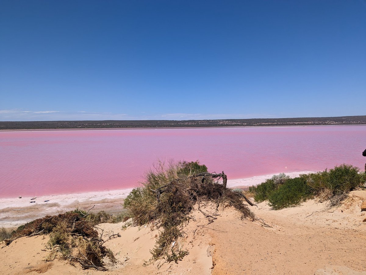 Pink lake is very pink. Only editing done was removing some people frolicking by the shore.
