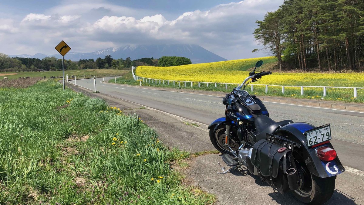 たーぼぅ🇺🇦 tweet media