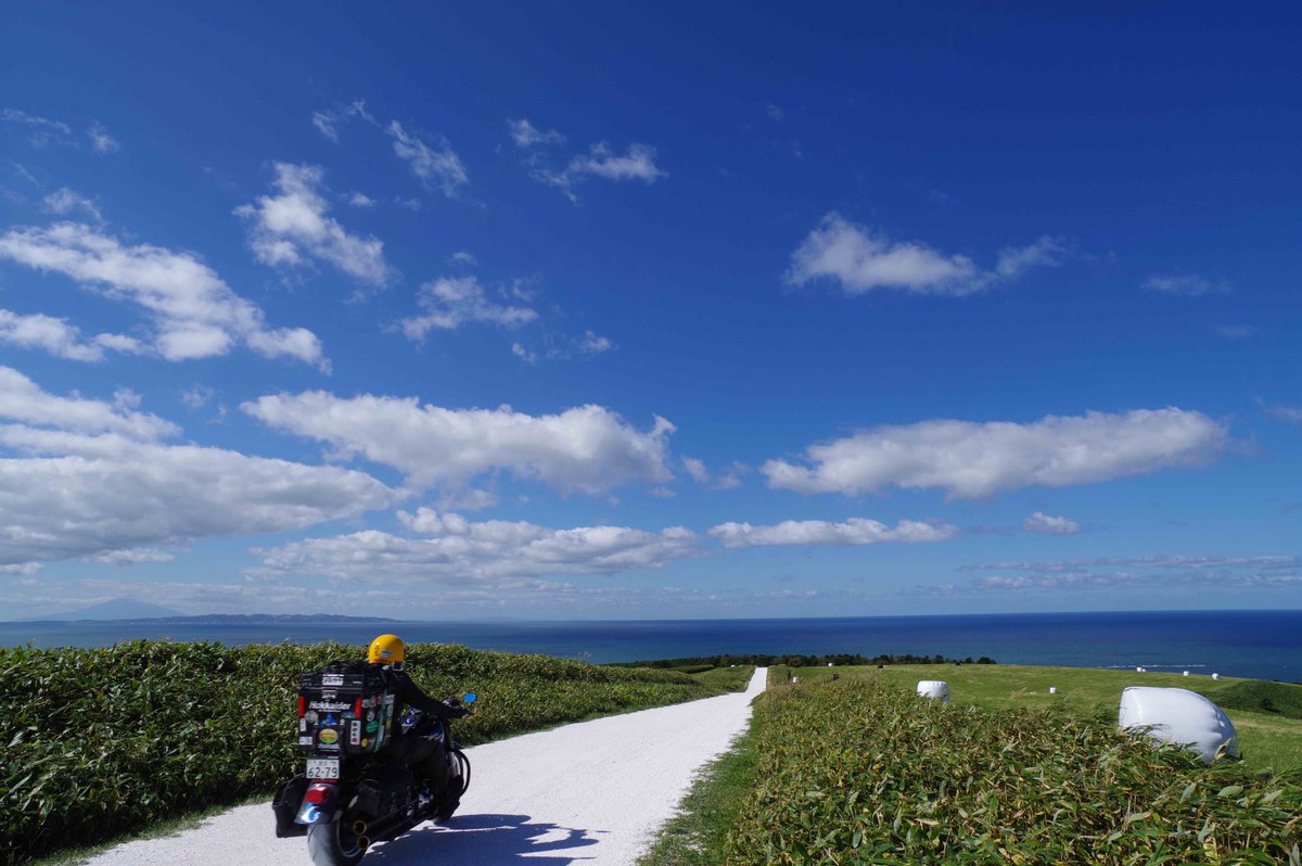 たーぼぅ🇺🇦 tweet media