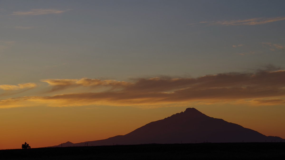 たーぼぅ🇺🇦 tweet media