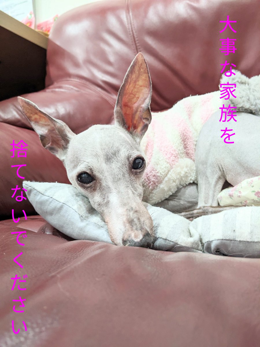 ジェシカ (@xoxolove710) / Posts / X, image size:900x1200