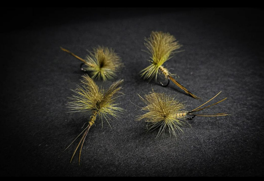 Saltwateronfly's tweet photo. Very nicely tied parachutes
@a_galway_fisherman
Some Mayflies for next summer done in both classic and parachute style.

#mayfly #danica #upwing #mayflies #dryflyfishing #summerfishing #eveningrise #dryflyordie  #ahrexhooks #whitingfarms #vicuña https://t.co/2Kos4AAd5K