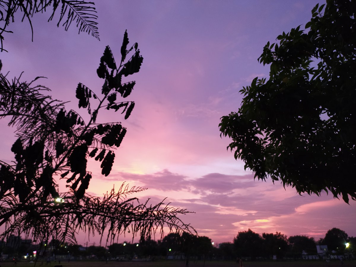 tosufferr's tweet photo. Pink Sky>>>> https://t.co/BD8Q6IQ6NY