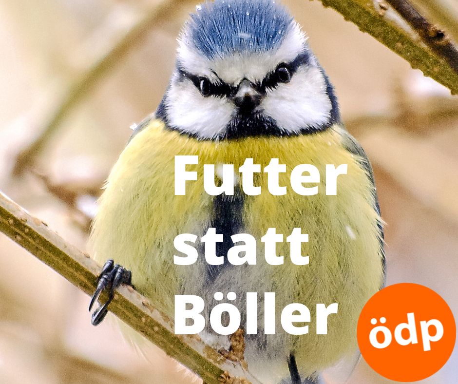 "Futter statt Böller": Ab morgen wird wieder überall Feuerwerk angeboten. Ist das angemessen in einem europäischen Kriegsjahr mit vielen Toten? Wie wär´s, einen Teil der Ausgaben für eine anständige Wintervogel-Futterstation nebst Befüllung zu investieren?
#ÖDP #orangeaktiv #LBV