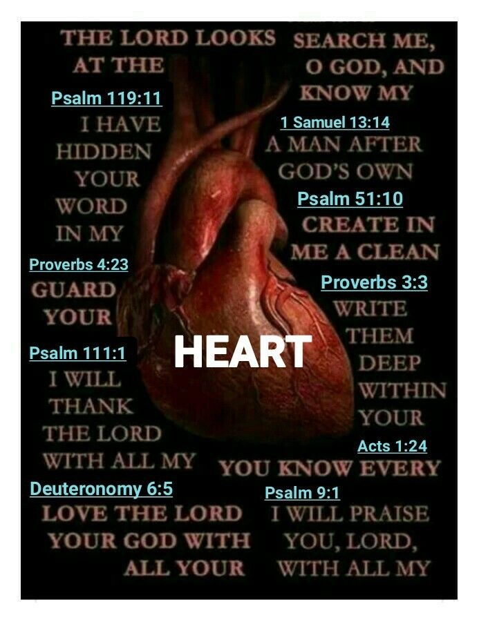 ministerricky1's tweet photo. Almighty God please create in me a #PureHeart & put Your #RightSpirit in me
Because if #YouGive us #YourSpirit of #PowerLoveAndSoundMind then any timidity or weakness is a spirit of the devil sent to disempower us
In #JesusChrist's AllPowerful Name
TY
#EuropaAfricaUS https://t.co/7e2EzAyas5