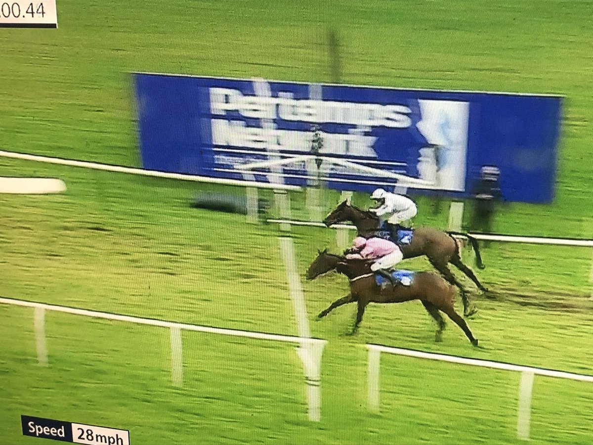 AlexHalesRacing's tweet photo. Winner, winner!! Gardener wins @LeicesterRaces under a fabulous ride by @kielanwoods for top owners Premier Plastering Ltd #topteamhales #topjockey #topowners https://t.co/utmoXTQicx