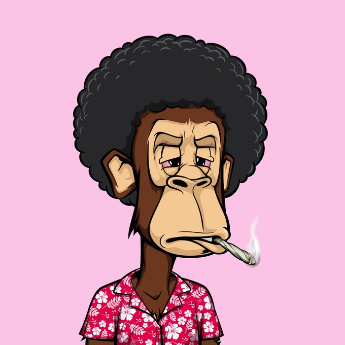 RobertSOL18's tweet image. 🎁 GIVEAWAY 🎁

🏆 0.50 SOL x 2  💸

To Enter:
1️⃣ Follow 
@rainascrdll
 &amp;amp; 
@maalmonkeys

2️⃣ RT, Like &amp;amp; Tag 2 Friends 

🎯 Bonus Join discord.gg/XC9ZYayg3R

⏰ 24 Hours #Solana #SolanaNFTs #NFTs #solananft