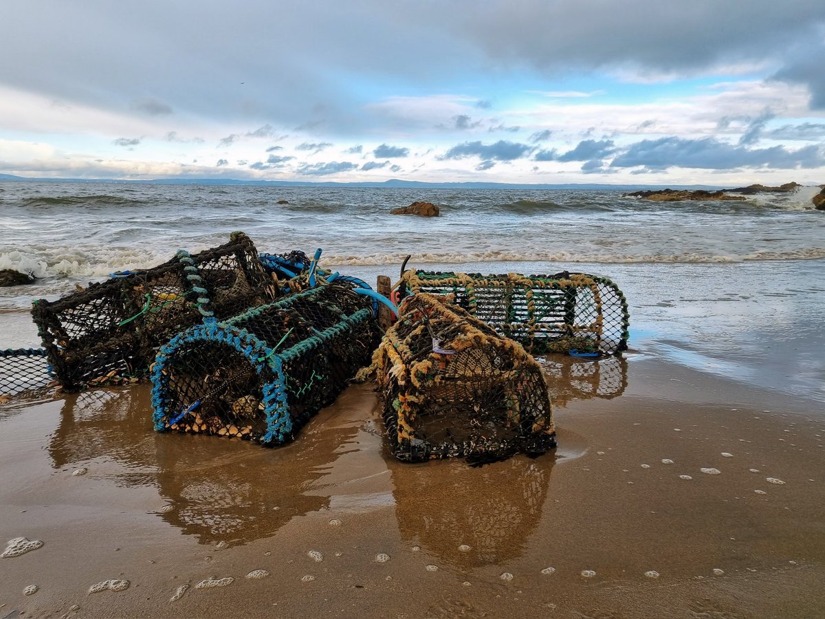 Washed up on the beach
#Coast #Weathercloud #Wednesday #December