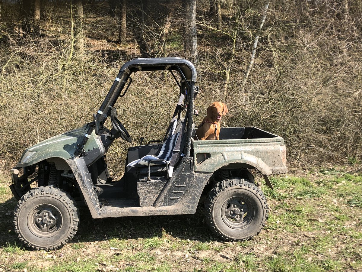 Mein Lastenrad für den täglichen Kleinkram