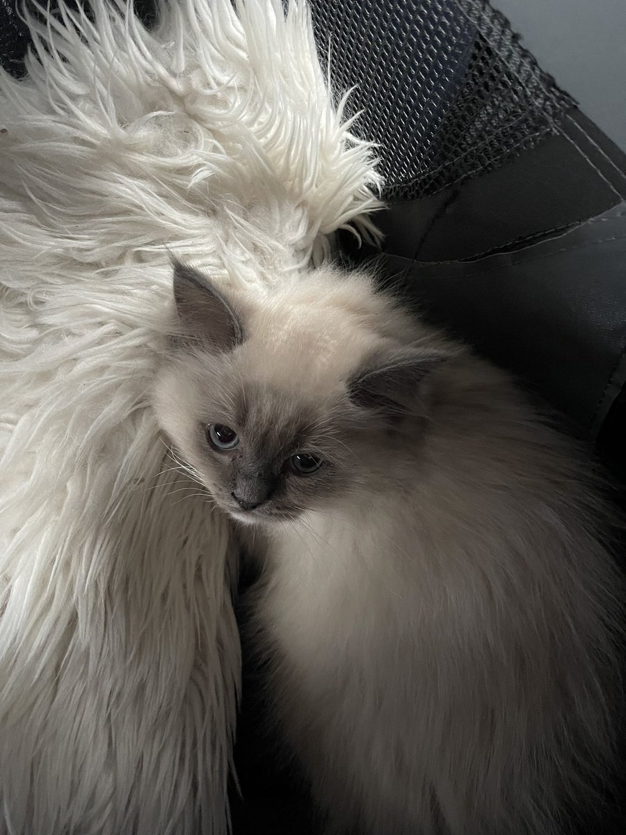 On our way home ❤️