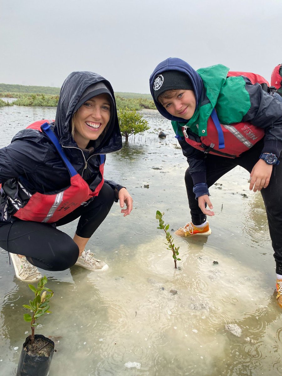 BlueForestLoves's tweet photo. Despite the rain storm, our staff and their families pulled together a successful mangrove planting event as part of our year-end celebration. 

The event exemplified the values of Blue Forest: harmony with nature, dedication to family, and a focus on making mangroves great again https://t.co/seElqM0LvU
