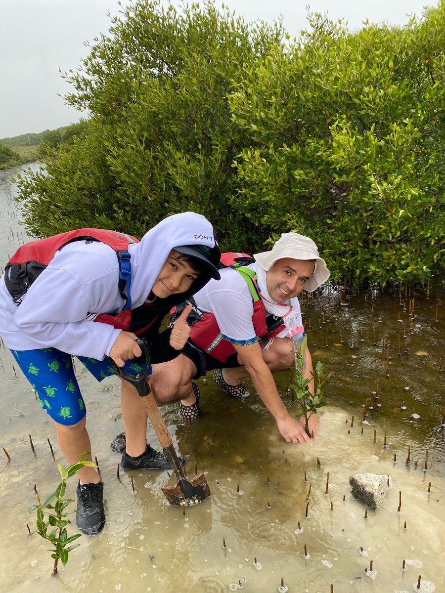BlueForestLoves's tweet photo. Despite the rain storm, our staff and their families pulled together a successful mangrove planting event as part of our year-end celebration. 

The event exemplified the values of Blue Forest: harmony with nature, dedication to family, and a focus on making mangroves great again https://t.co/seElqM0LvU
