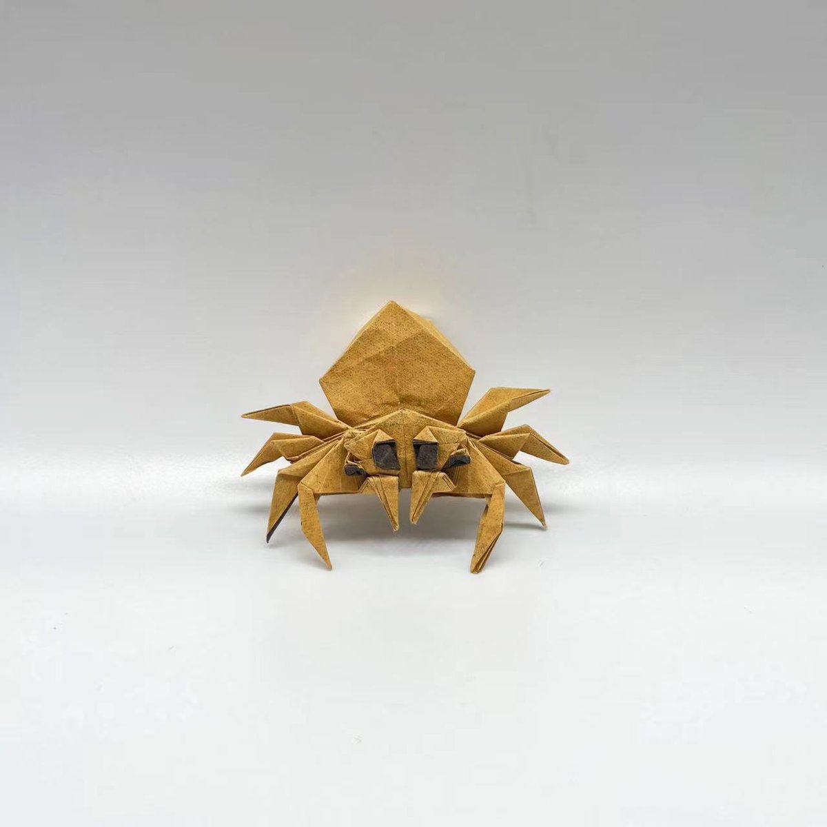 #Origami
Spider
designer&amp;📂：me