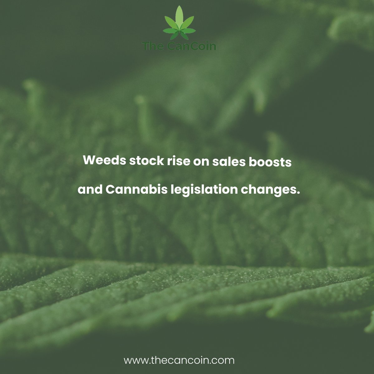 thecancoin's tweet photo. Recent regulatory changes such as presidential pardon for individuals with federal #cannabis possession charges, a bill passed by US President Joe Biden to research medical #cannabis use and more has shown to have helped in #cannabis industry growth. 1/2 https://t.co/OgyLRnzTg1