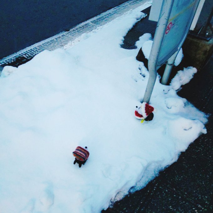 「雪 冬」のTwitter画像/イラスト(新着)｜21ページ目