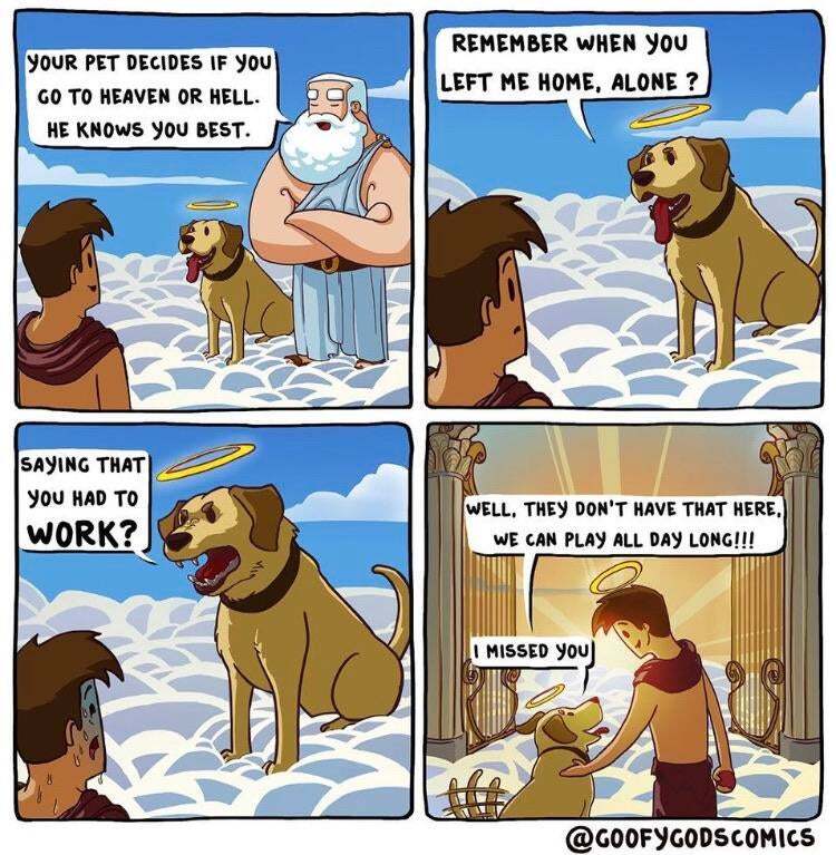 SavvaChristoph's tweet photo. This should be how they decide #Wholesome https://t.co/Gqqv3kRchG