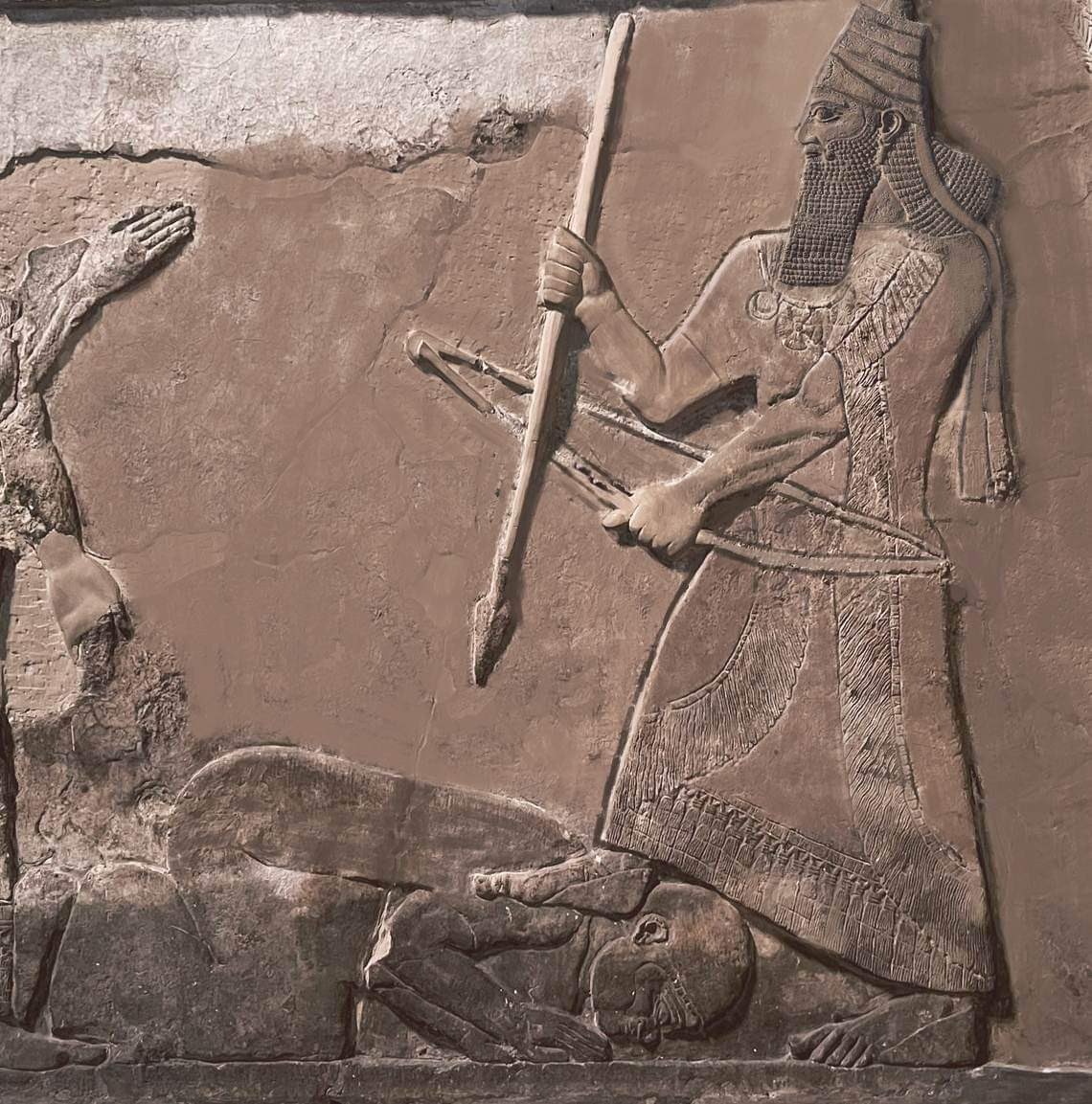 #lraqMsptmia tweet media