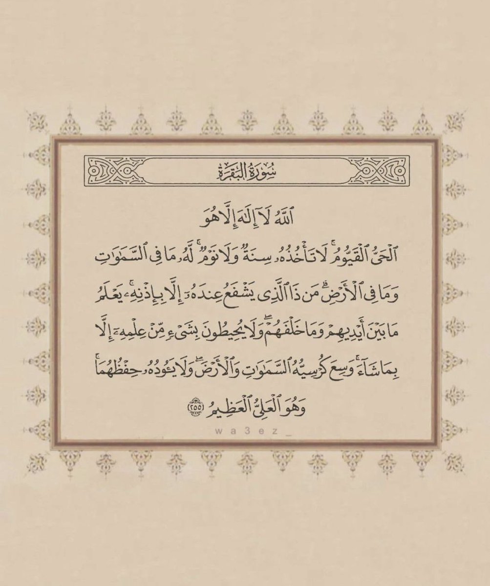 ﮼السنة ﮼سفينة ﮼نوح 🌾✨ tweet media