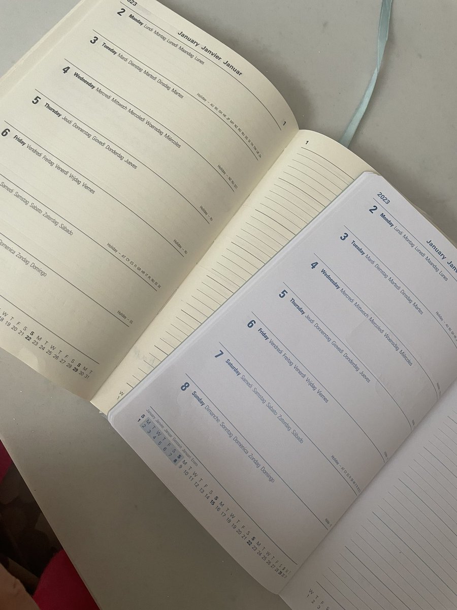 Helliebean's tweet photo. @LettsDiaries Oh no! My ‘same diary every year’ has been ruined by bright white pages.  Please revert to ‘posh cream’ for 2024. https://t.co/BcifKkLntU