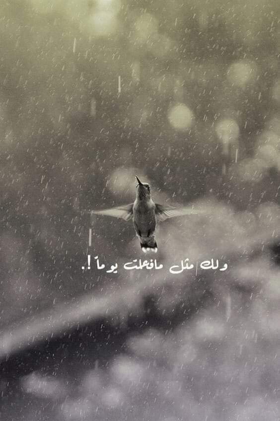 Maimashmash's tweet photo. أسوأ من المنافق ، ناكِر المعروف ... https://t.co/DWYB2c2tTw