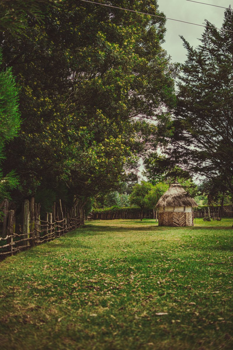 MwanikiGN's tweet image. Took some pictures in shagz during Christmas #photography