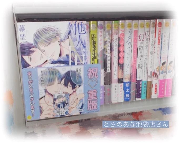 今さらながら実は重版記念限定POPを飾ってくださっている書店さんもある(あった)のでその一部のお写真をいただきました!(掲載許可いただいてます)お見かけの際はよろしくしてやってください🤍 