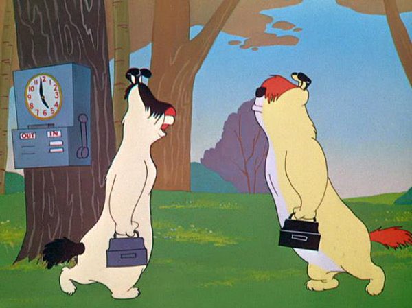 Amy Trask tweet media