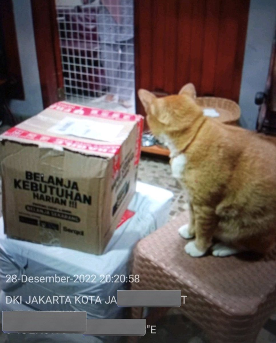 CoffeedCat's tweet photo. Mau liat cctvnya ga? wkwkwkwk https://t.co/tojObYwZoc