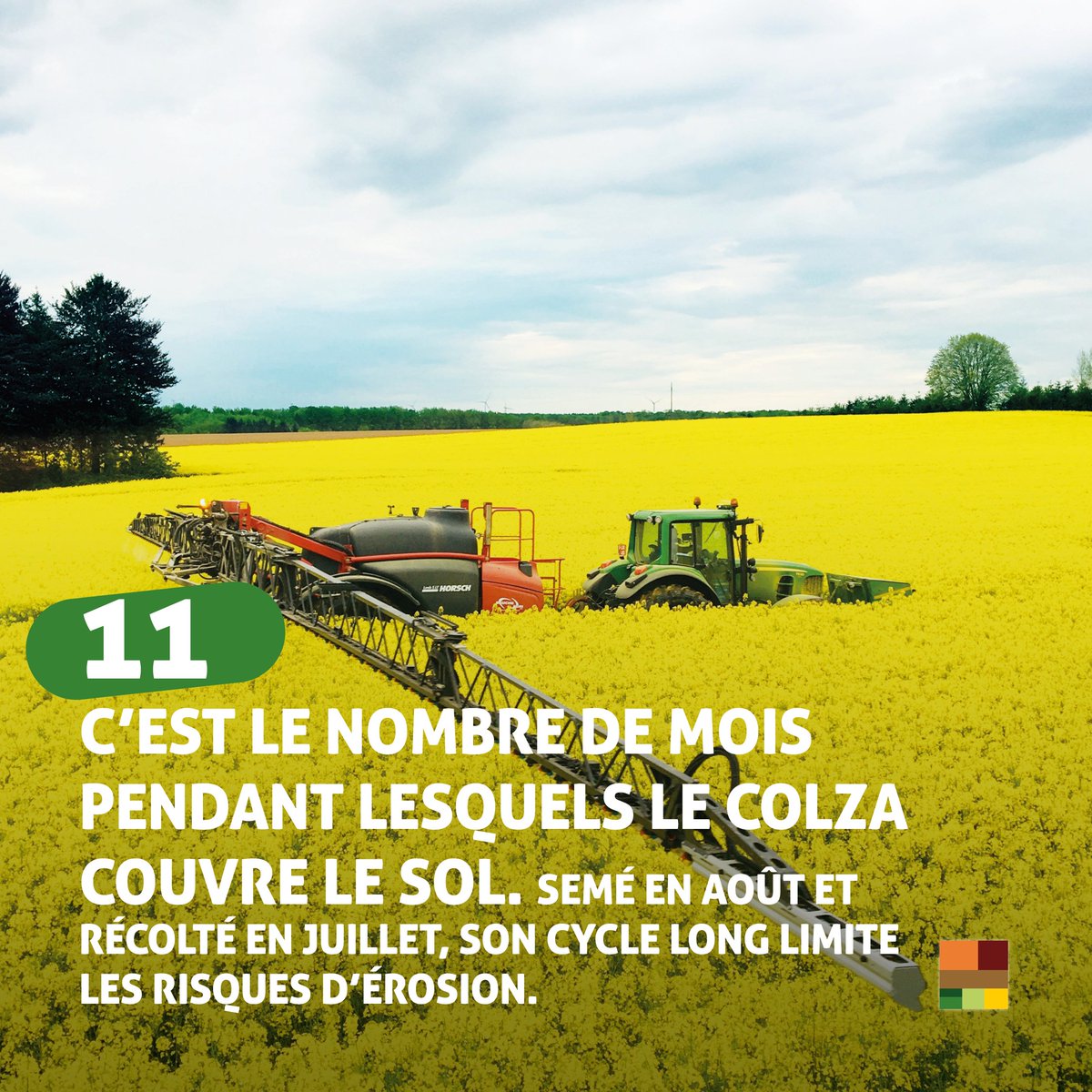 terresoleopro's tweet photo. 11, c'est le nombre de mois pendant lesquels le #colza couvre le sol. Semé en août et récolté en juillet, son cycle long limite les risques d'érosion. 🚜💧
#francecolza #agriculture
⤵️ ¼ https://t.co/Hiyp3VHVuu